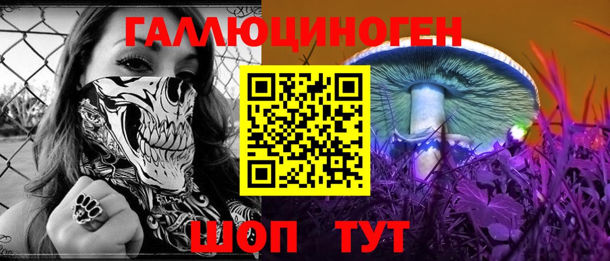 Псилоцибиновые грибы мицелий Барнаул