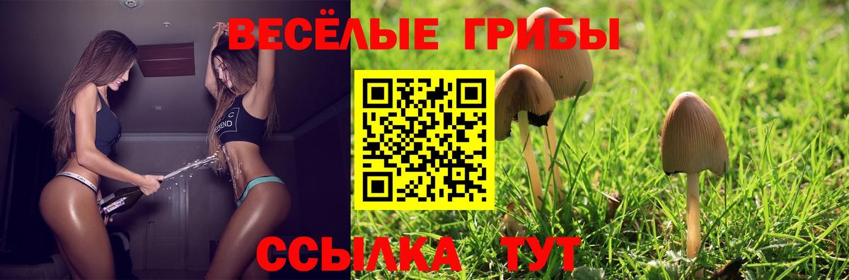 Барнаул  Галлюциногенные грибы мицелий  Вход с VPN 